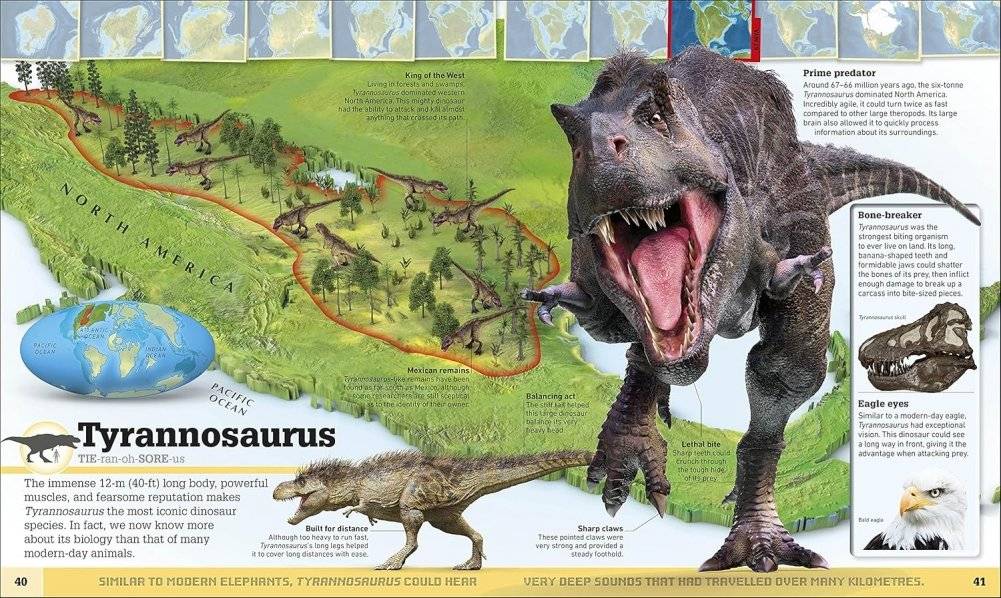 What`s Where on Earth? Dinosaur Atlas фото книги 5