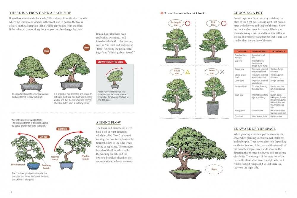 Bonsai master class фото книги 5
