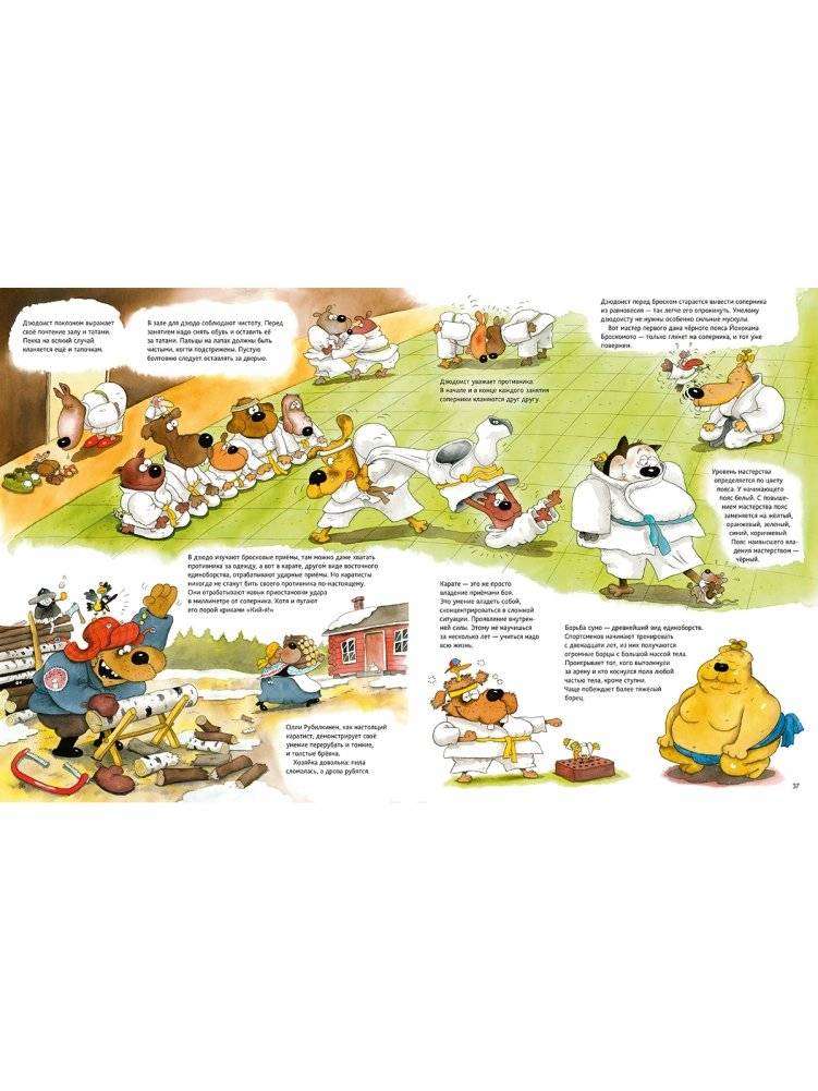 Большая спортивная книга фото книги 3
