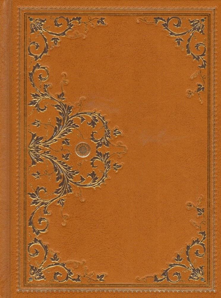 Золотой браслет. Охотники на медведя. Подарочное издание | The Golden Bracelet. Bear Hunters. Gift Edition