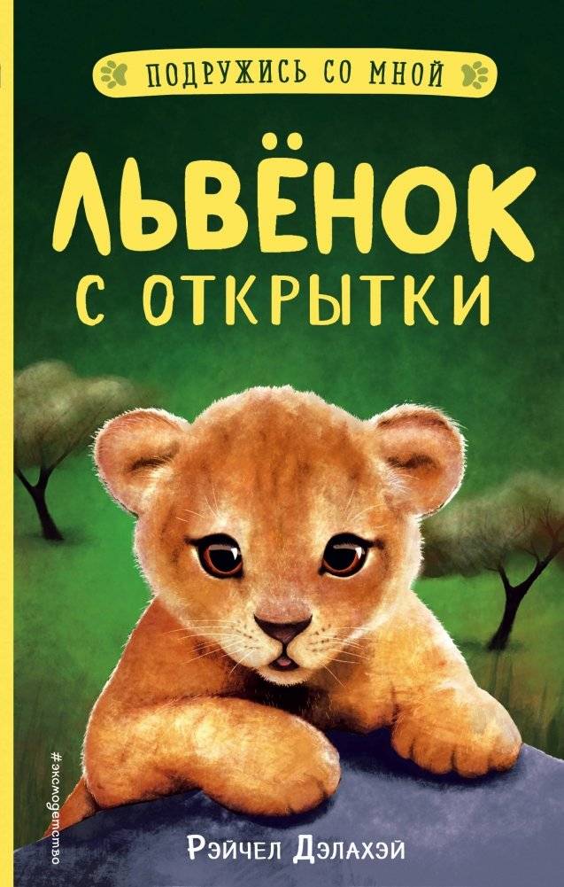 Львёнок с открытки | The Lion Cub from the Postcard