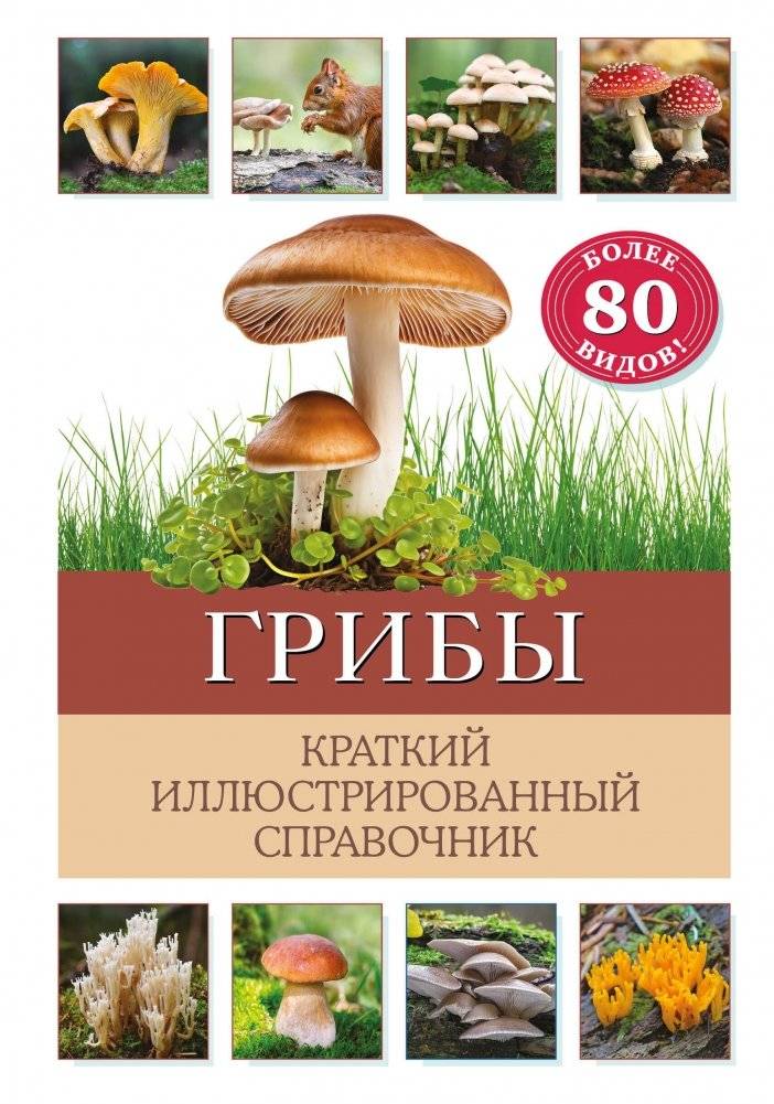 Грибы. Краткий иллюстрированный справочник | Mushrooms: A Concise Illustrated Guide