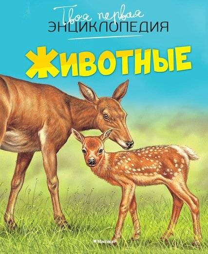 Животные | Animals