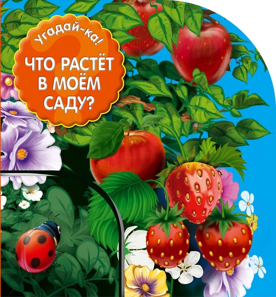 Что растет в моем саду? | What Grows in My Garden?