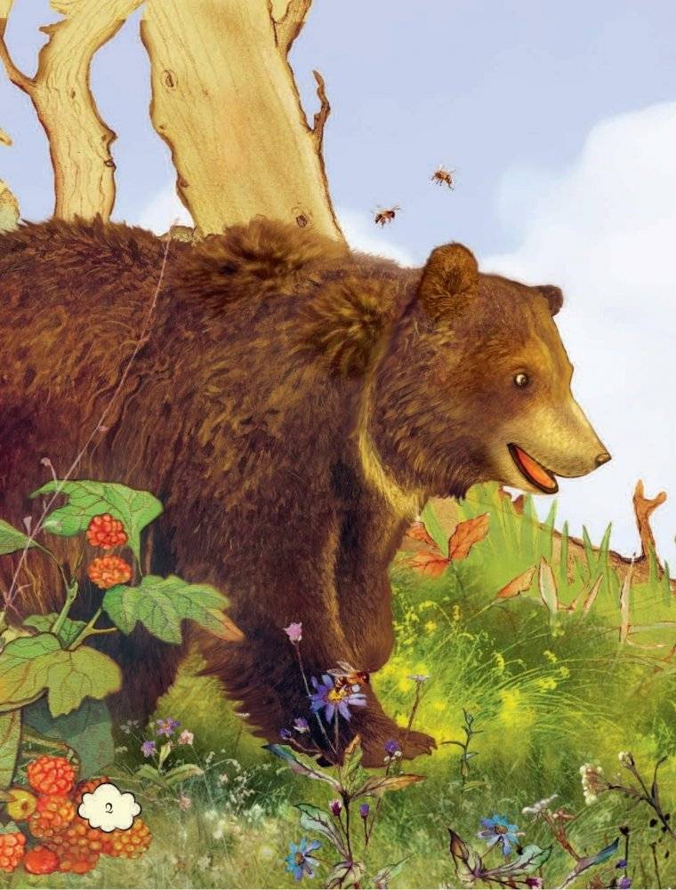 Папа, не бойся! фото книги 2
