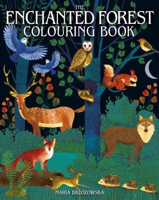 Волшебный лес: Книжка-раскраска | Enchanted Forest Colouring Book