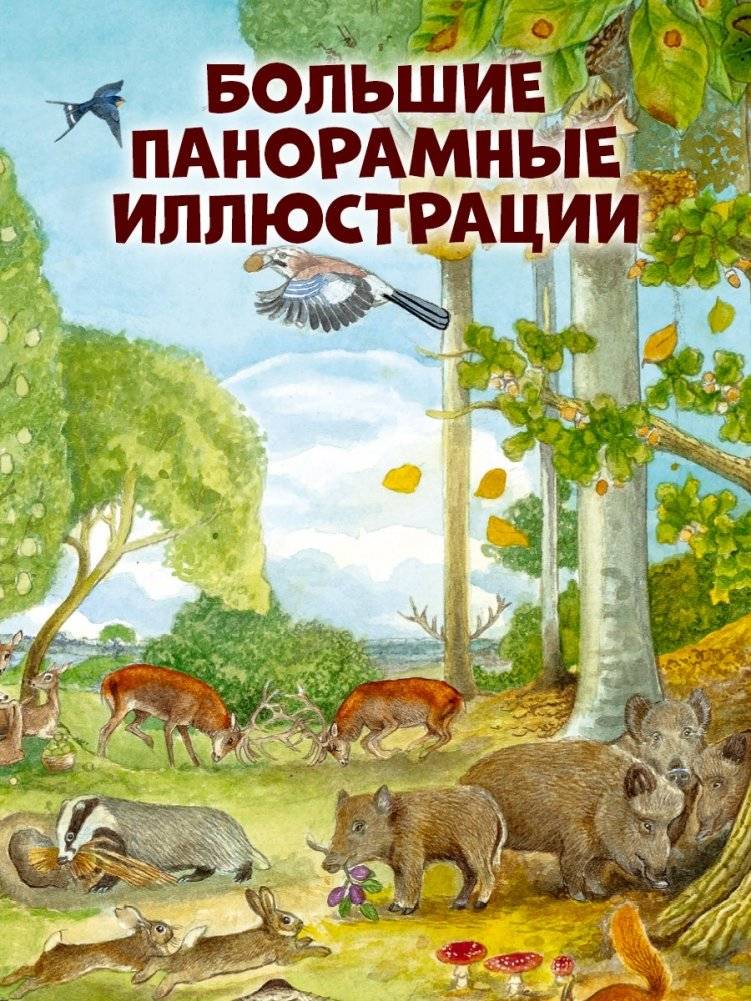Найди и покажи. 1000 животных фото книги 3