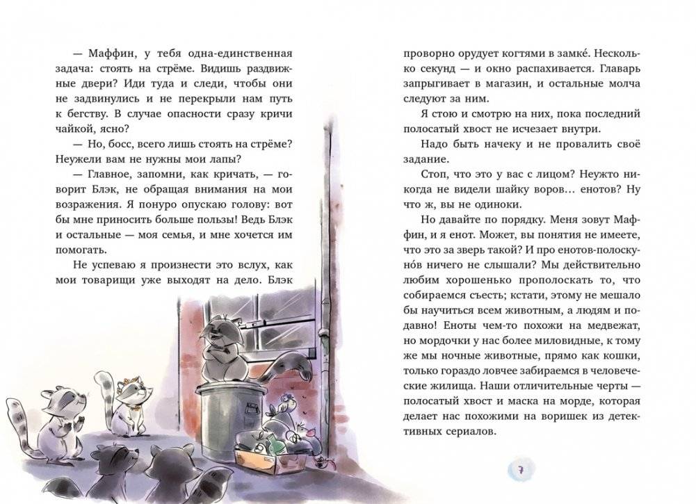 Маффин. Мой друг енот фото книги 2