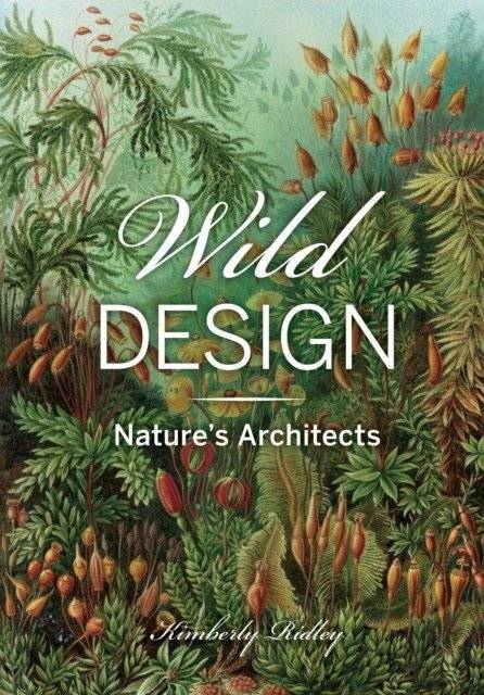 Wild Design: The Architecture of Nature | Wild Design: The Architecture of Nature