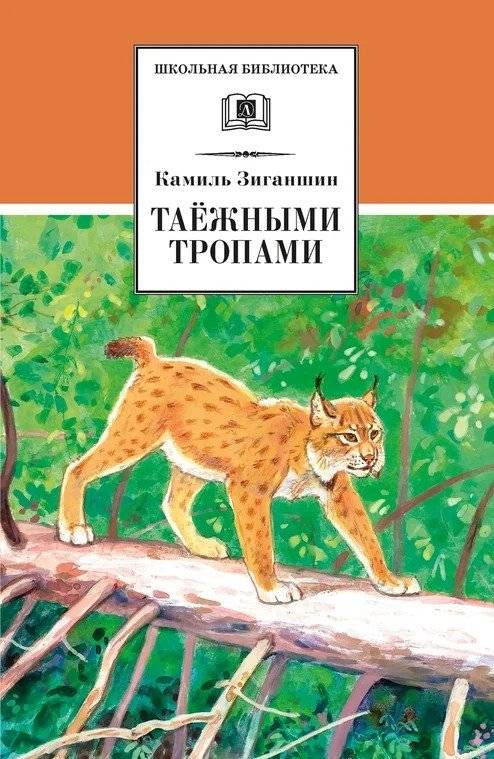 Таежными тропами | Along the Taiga Trails