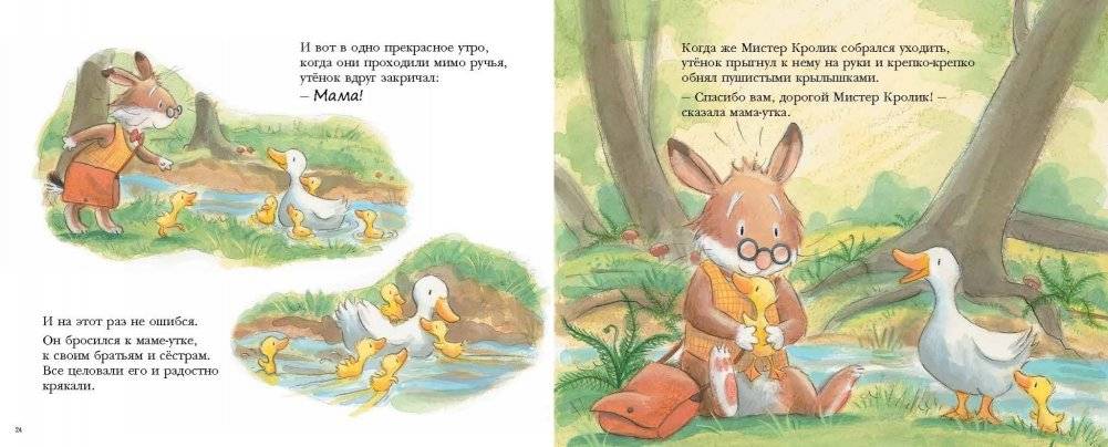 Утиная каша фото книги 4