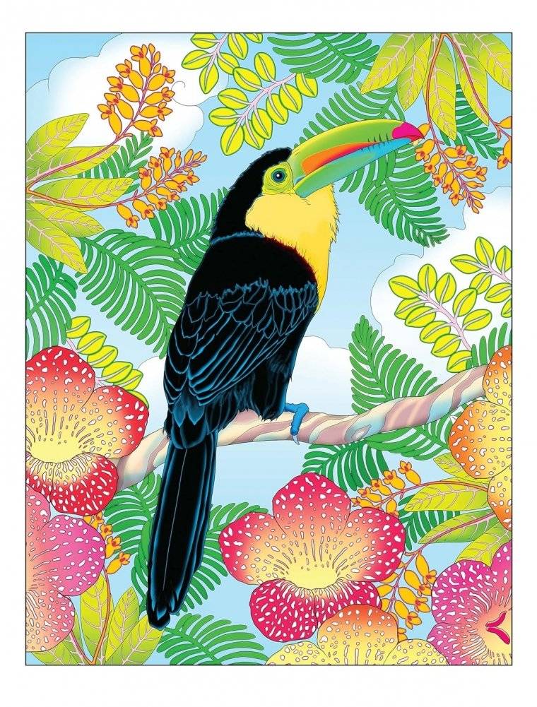 Creative Haven Tropical Wonders Coloring Book фото книги 3