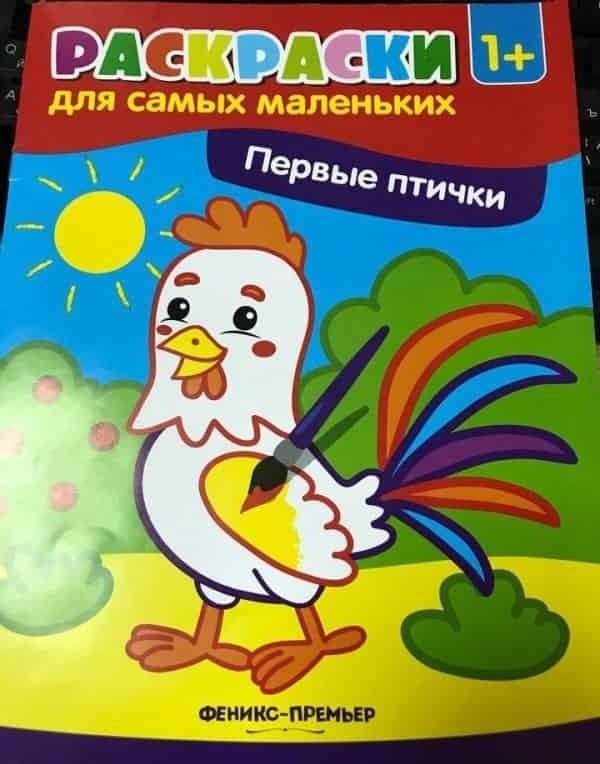 Первые птички. Книжка-раскраска | First Birds: Coloring Book
