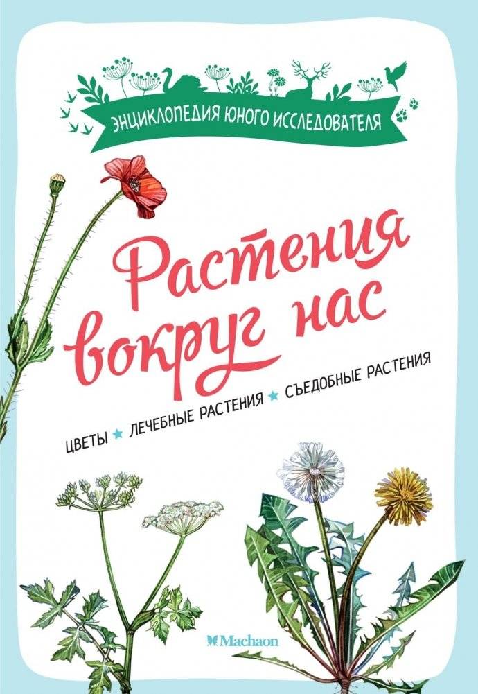 Растения вокруг нас | Plants Around Us