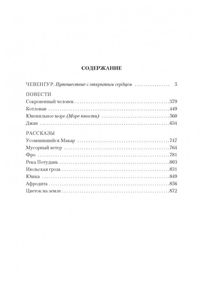 Чевенгур. Сокровенный человек. Котлован фото книги 3