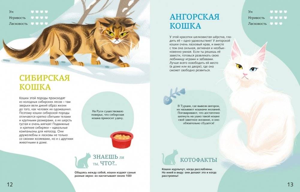 Все-все-все домашние питомцы фото книги 5