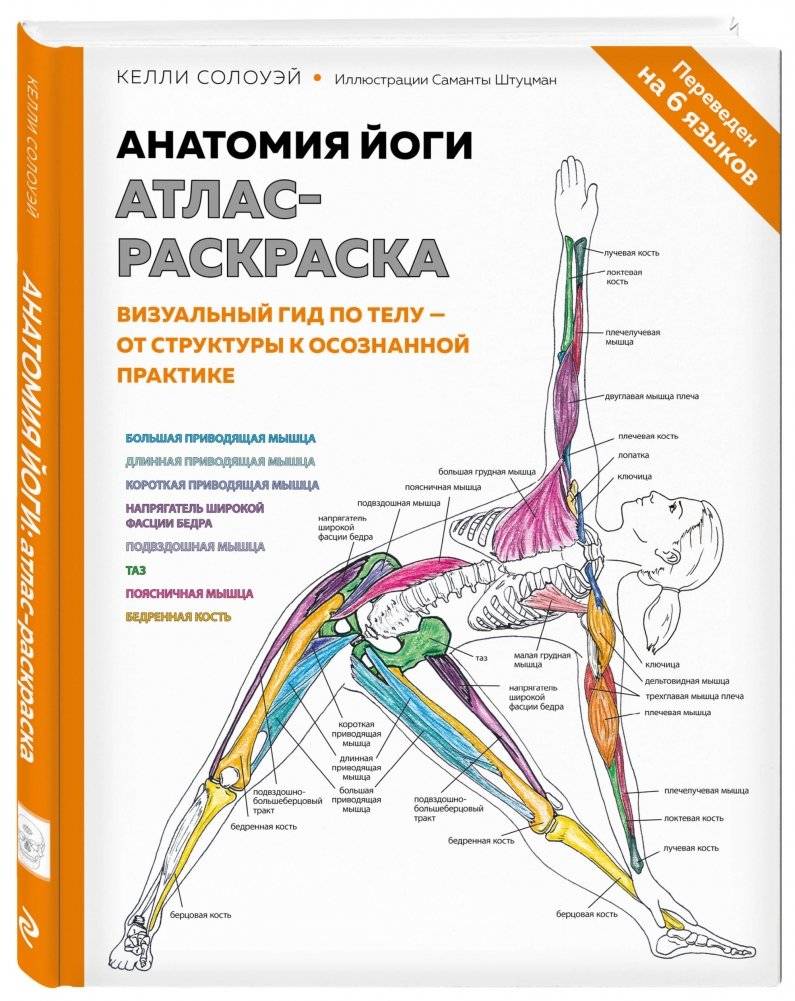 Анатомия йоги. Атлас-раскраска. Визуальный гид по телу — от структуры к осознанной практике фото книги 2