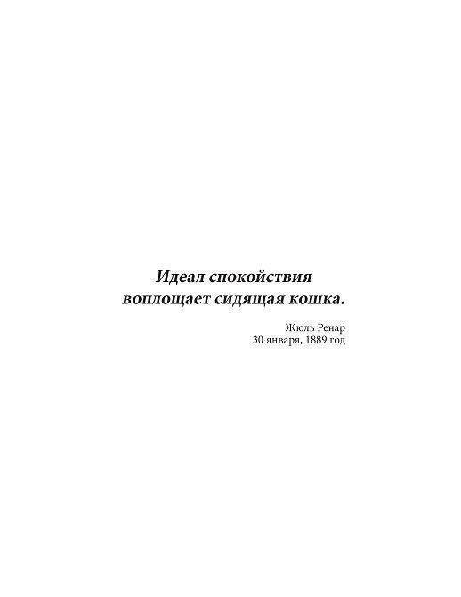 Кототерапия. Раскраска-антистресс для взрослых фото книги 2