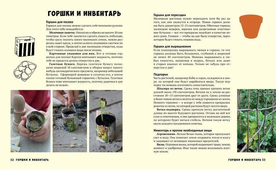 Мой первый огород. Посей, собери, съешь фото книги 6