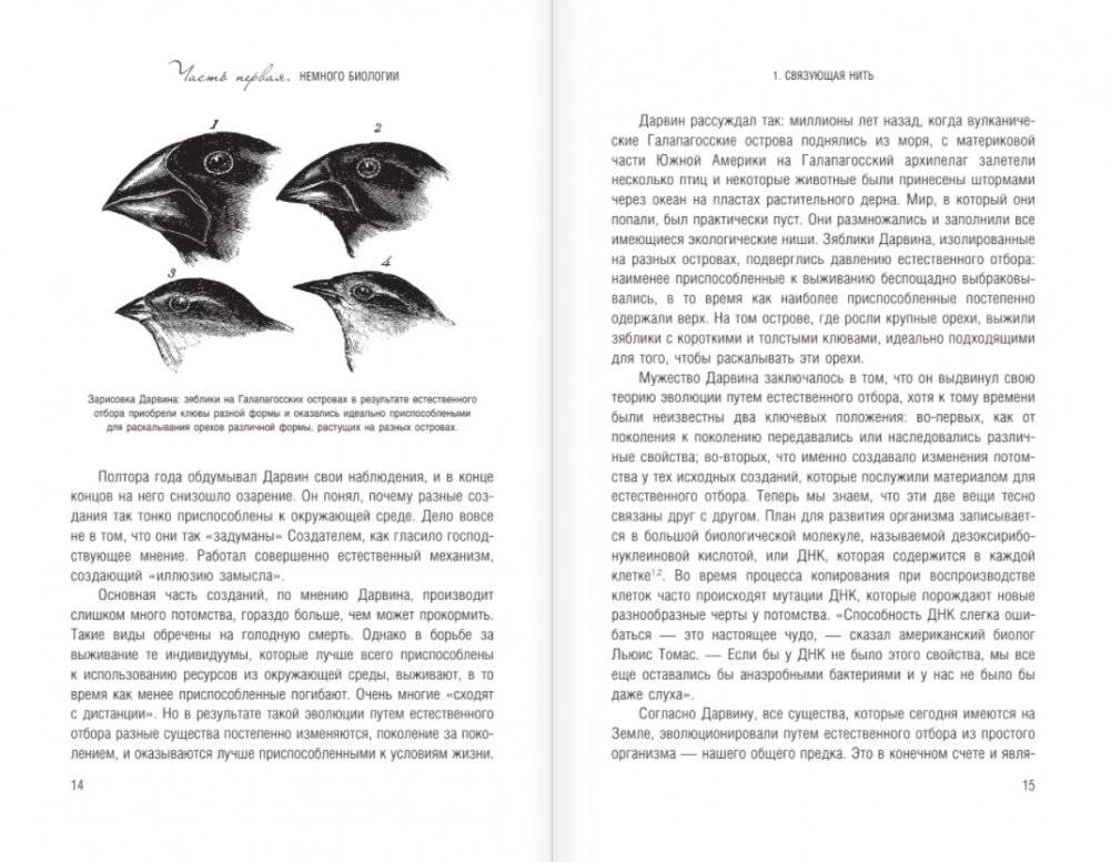 Странные вопросы о Вселенной, или Как сделать Солнце из бананового пюре фото книги 6