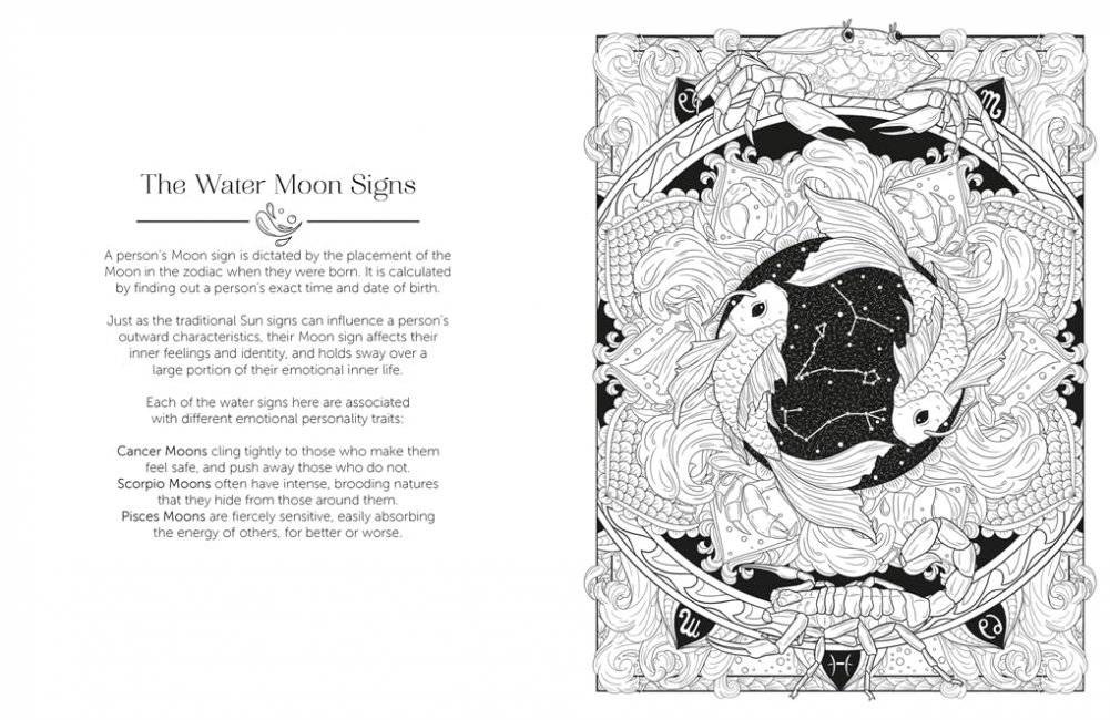 Luna Colouring : Embrace the Magic of the Moon фото книги 2