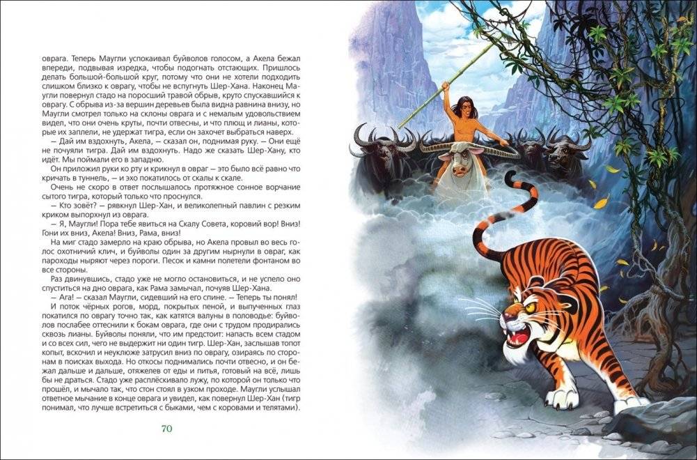 Маугли фото книги 3