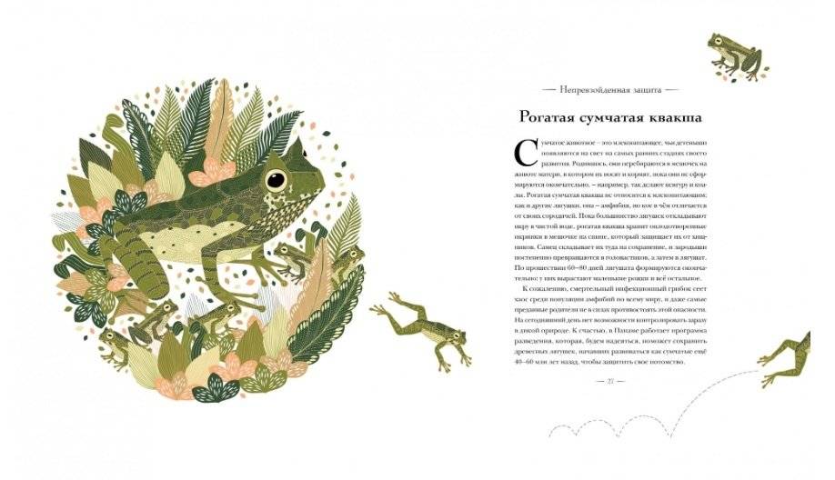 Книга исчезающих животных для неравнодушных сердец фото книги 2
