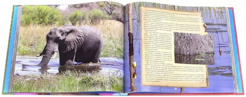 Жажда жизни фото книги 2