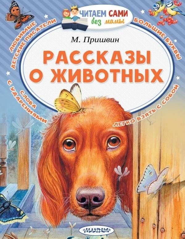 Рассказы о животных | Animal Stories