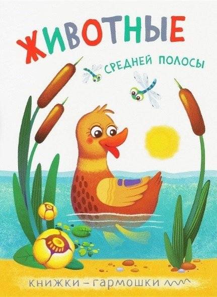 Книжки-гармошки. Животные средней полосы | Accordion Books: Animals of the Central Strip