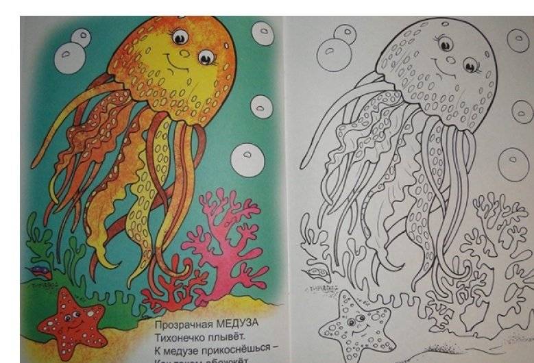 Кто живет в воде фото книги 4