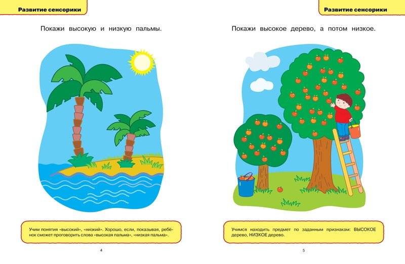 Развивающие тесты для детей 1-2 лет фото книги 4