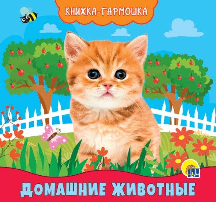 Книжка-гармошка. Домашние животные | Accordion Book: Farm Animals