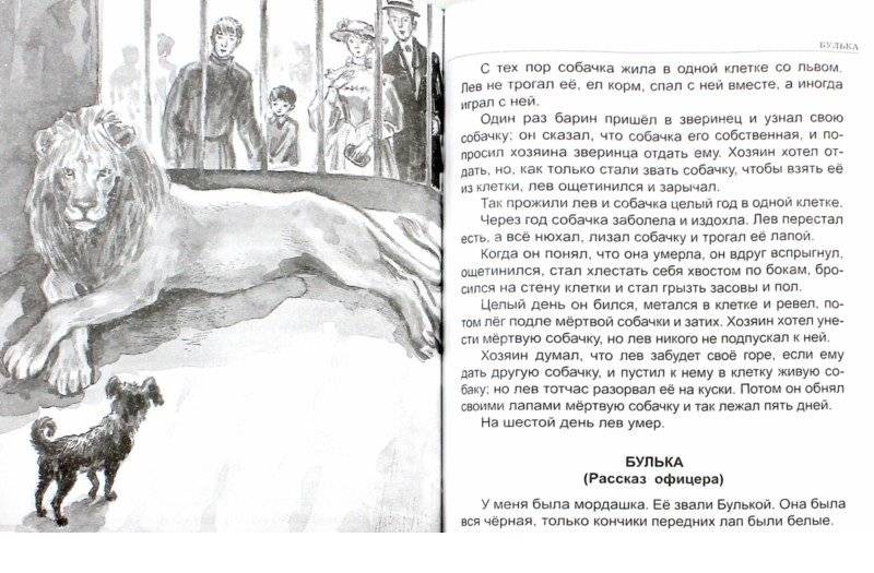 Сказки, рассказы, повести фото книги 2