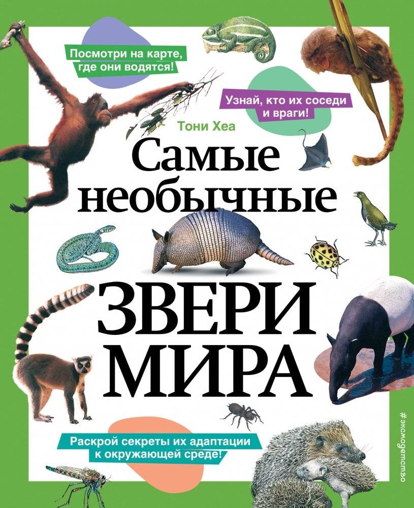 Самые необычные звери мира | The World's Most Unusual Animals