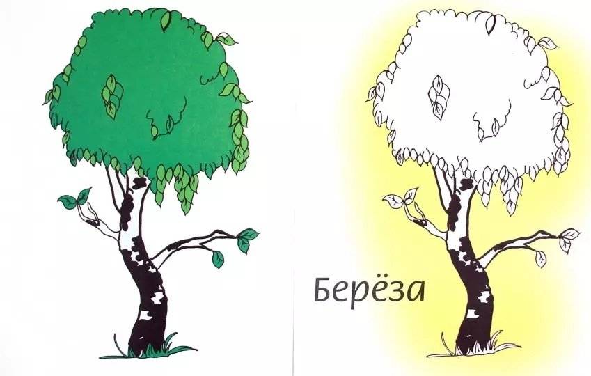 Деревья. Раскраска фото книги 2