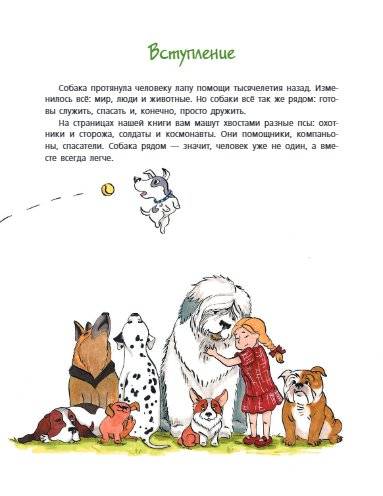Собака рядом. Мини-энциклопедия о собачьей службе и дружбе фото книги 4