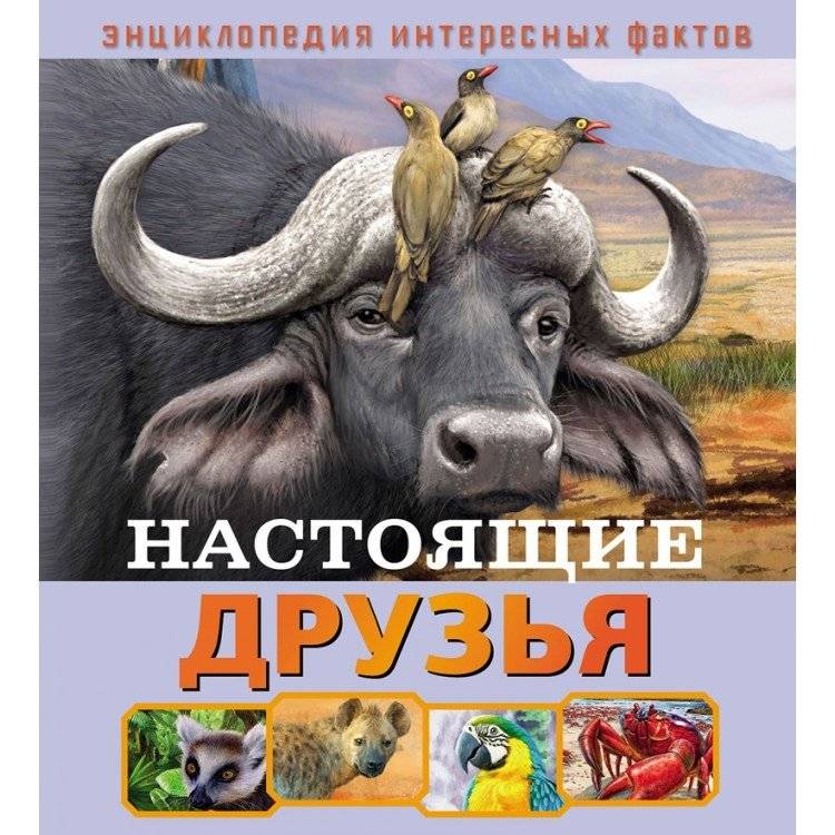 Настоящие друзья | True Friends