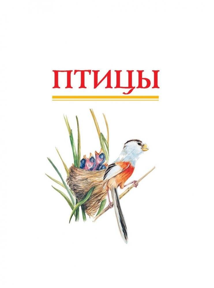 Красная книга России фото книги 7