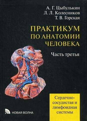 Практикум по анатомии человека. В 4-х частях. Часть 3. Сердечно-сосудистая и лимфоидная системы | Human Anatomy Practicum. Part 3. Cardiovascular and Lymphoid Systems