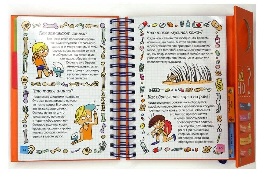Как всё устроено? фото книги 4