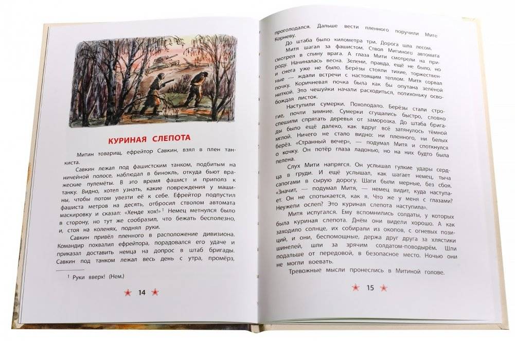 Землянка фото книги 4