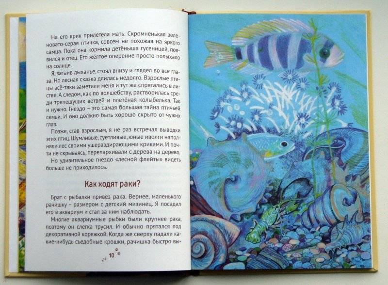 Пряники для слона фото книги 5
