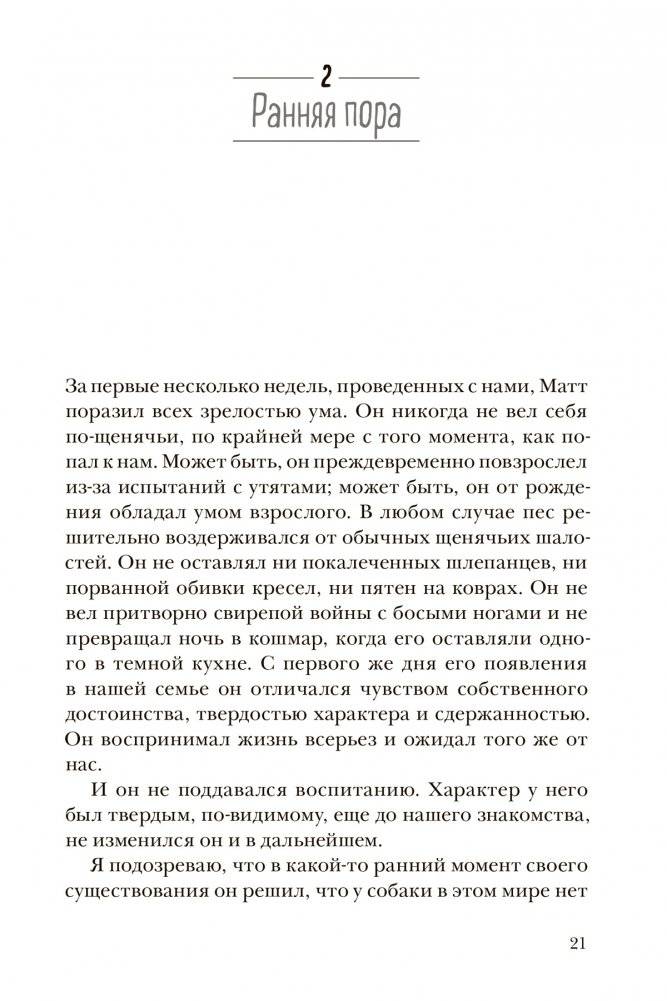 Собака, которая не хотела быть просто собакой фото книги 4