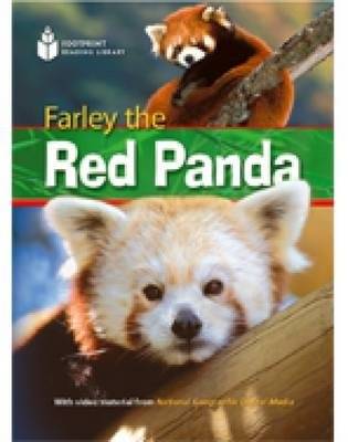 Farley the Red Panda | Farley the Red Panda
