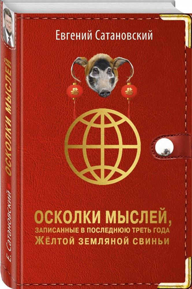Осколки мыслей, записанные в последнюю треть года Желтой Земляной Свиньи фото книги 2
