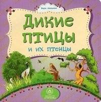 Дикие птицы и их птенцы | Wild Birds and Their Chicks