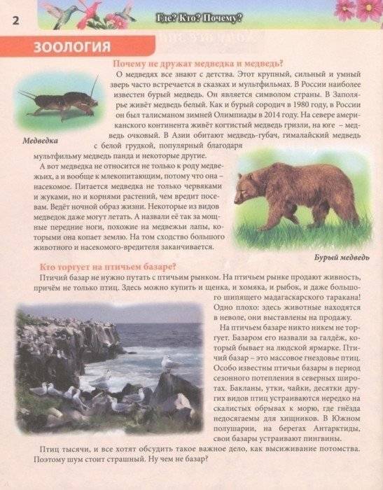 Энциклопедия. Где? Кто? Почему? фото книги 3