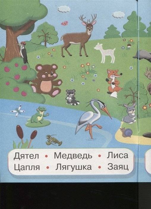 Животные России. Читаем слова фото книги 5