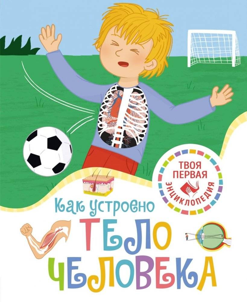 Как устроено тело человека | How the Human Body Works